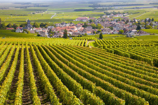 Bourgogne